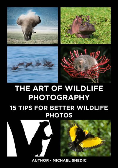 ebook The Art of Wildlife Photography by Michael Snedic 2021