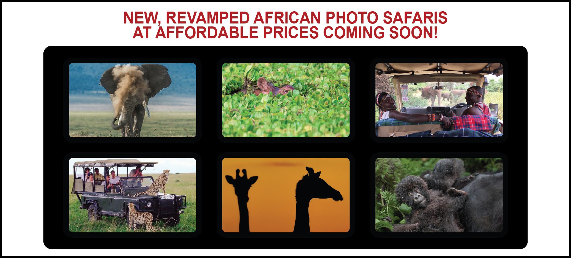 All New Revamped African Photo Safaris