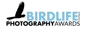 Birdlife Photography Award