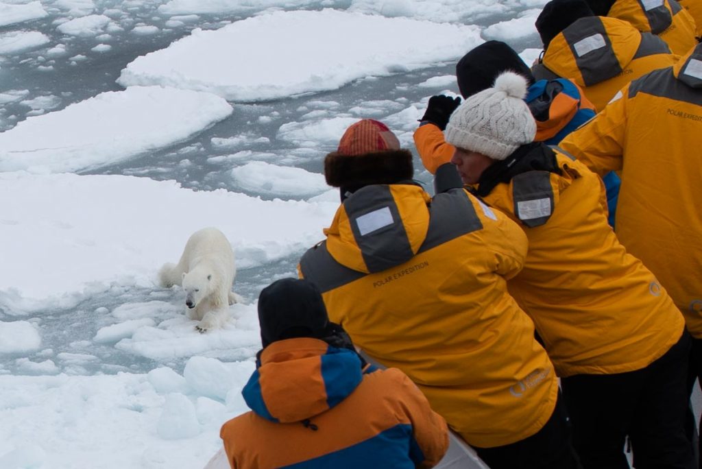 Close Polar bear encounter