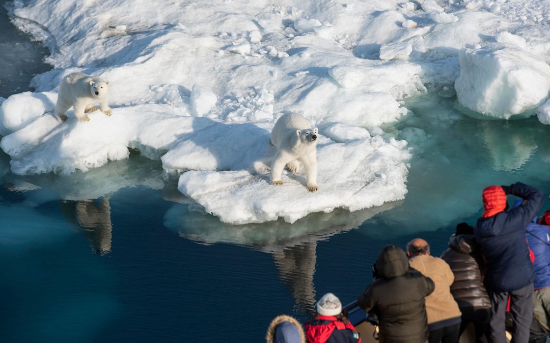 Use of Perspective In Wildlife Photography – Part Two