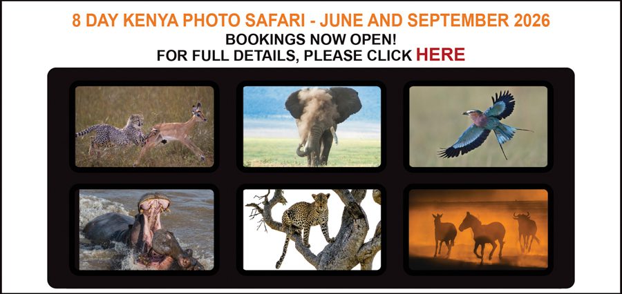 Kenya-safari