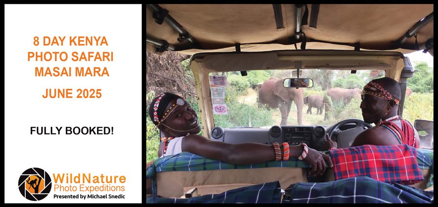 New Revamped African Photo Safaris_UPDATED_MORE DATES