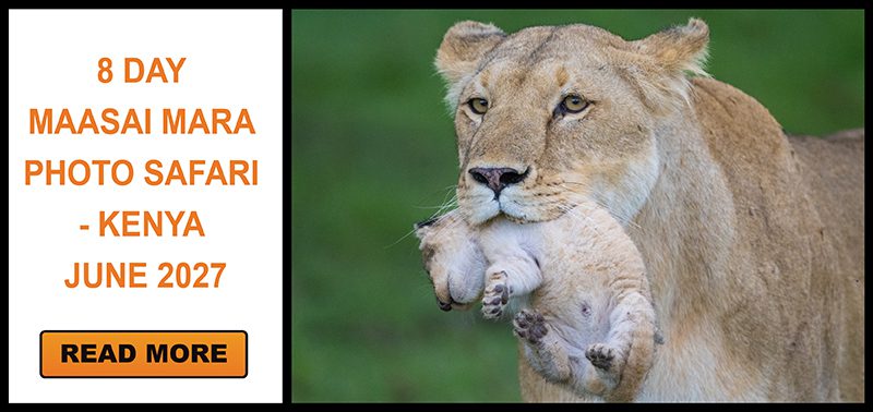 Kenya_8 Day Maasai Mara - June 2027