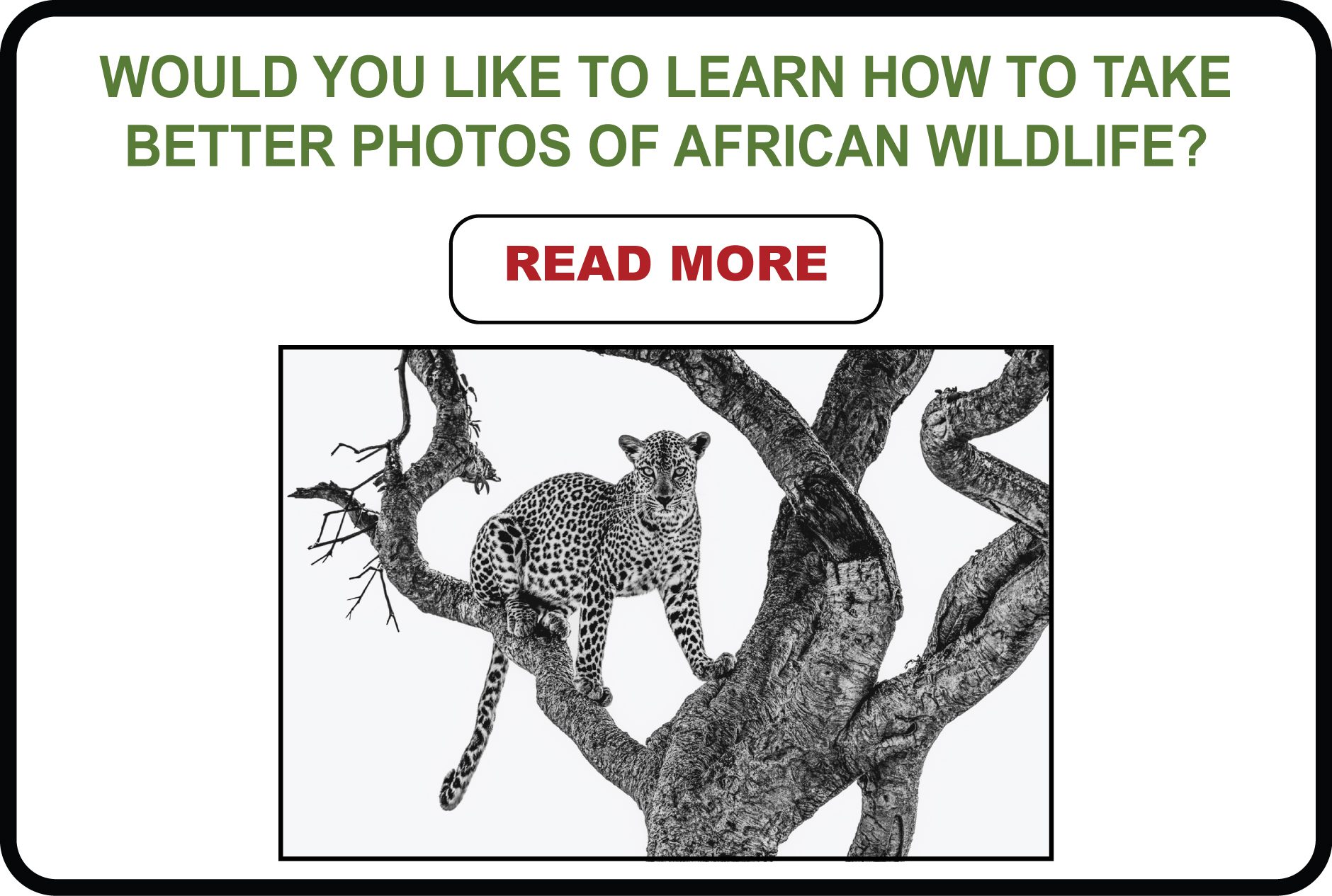 Learn how to take better photos_Mar26