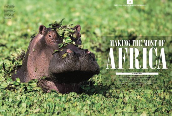 Making The Most of Africa