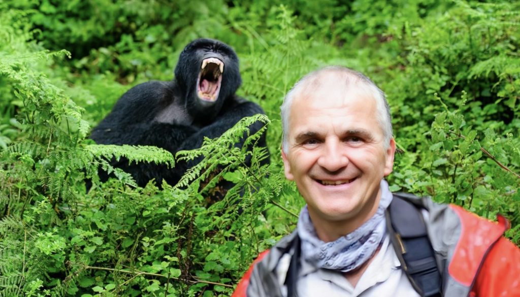 Michael-with-Mountain-Gorilla