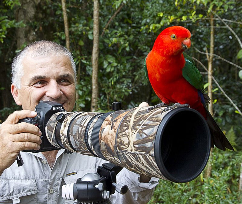 The Pros and Cons of Choosing a Wildlife Photography Lens