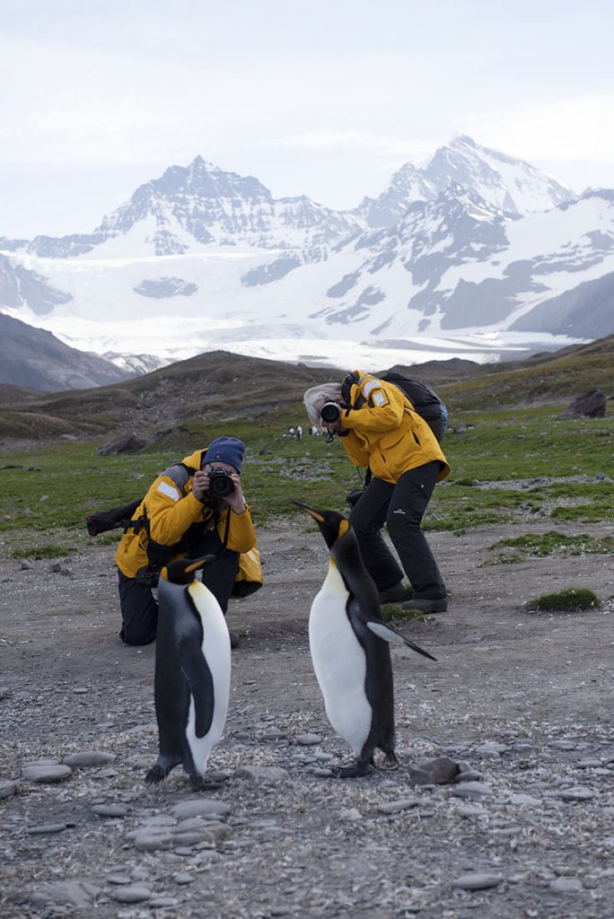 Participants photographing penguin in South Georgia