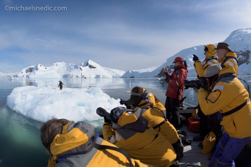 Penguin Encounter - Antarctica Photo Expedition