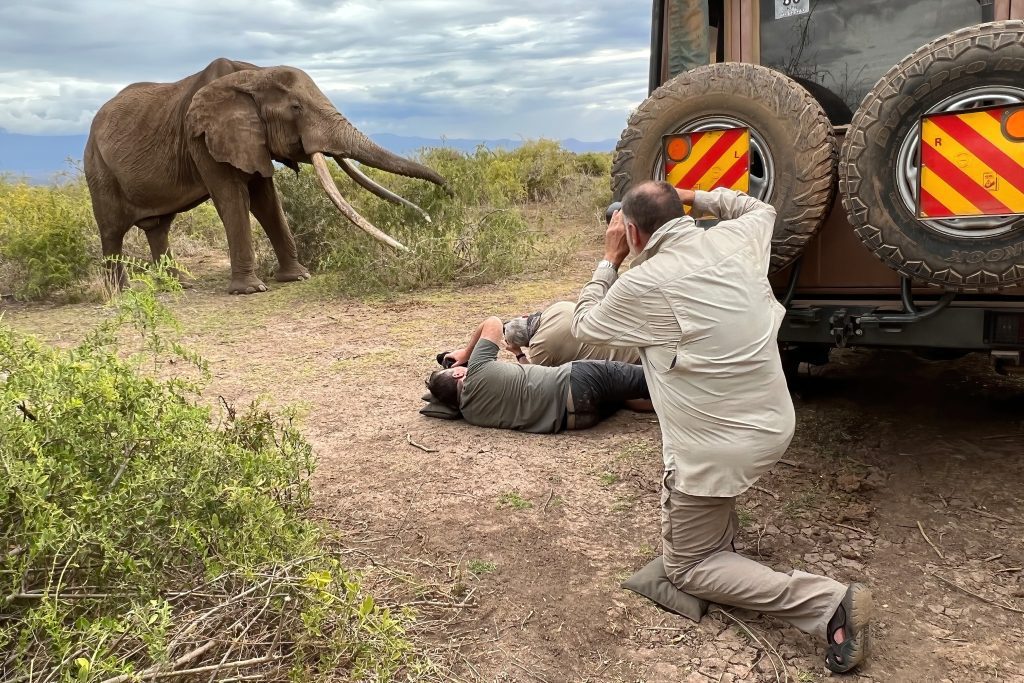 Photographing a tusker