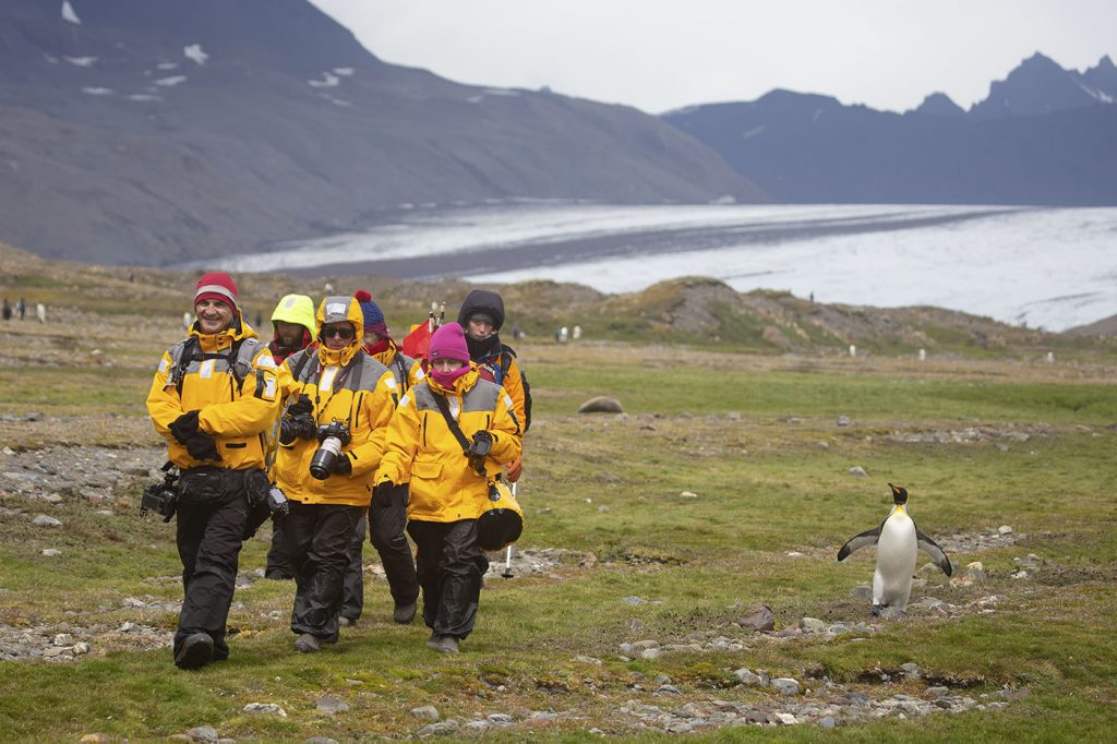 Photographing in South Georgia