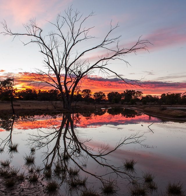 Sunrise at Bowra Sanctuary – Queensland