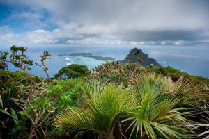 View to Mt Lidgebird - Lord Howe Island