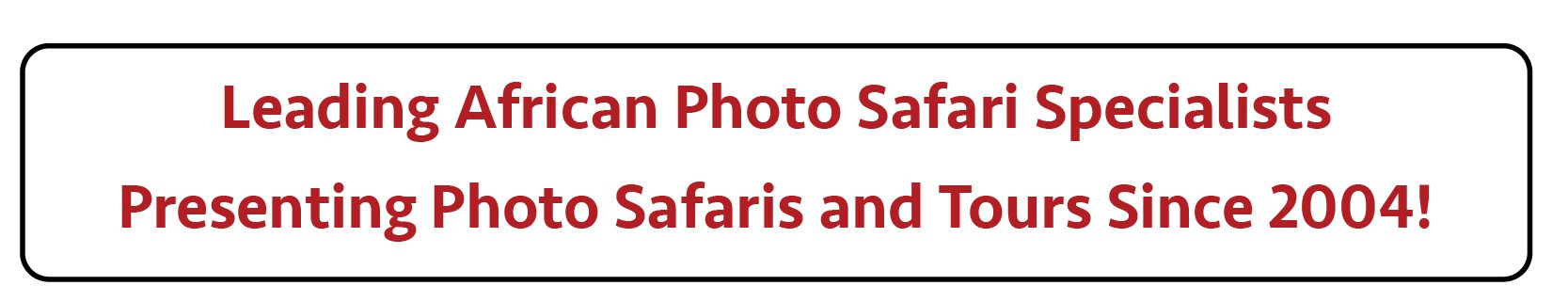 Safari Specialists
