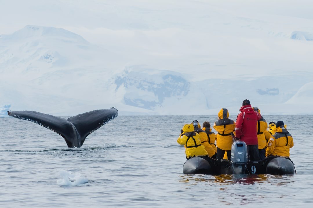People in boat with whale
