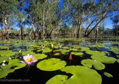 Yellow Waters Kakadu NP – NT