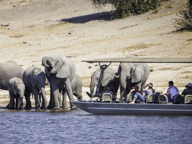 bakwena-lodge-river-cruise