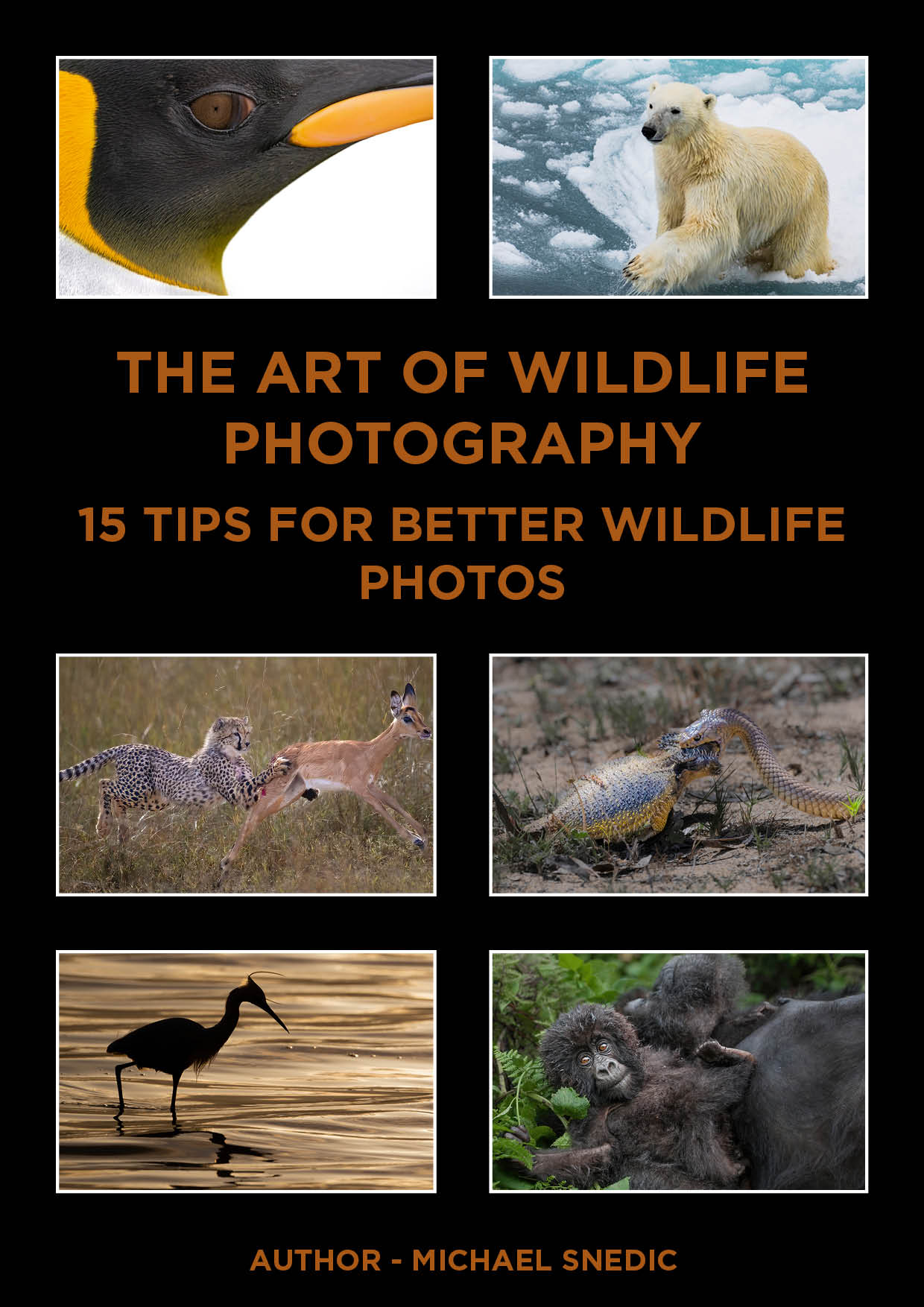 Would you like a FREE copy of my new Ebook?