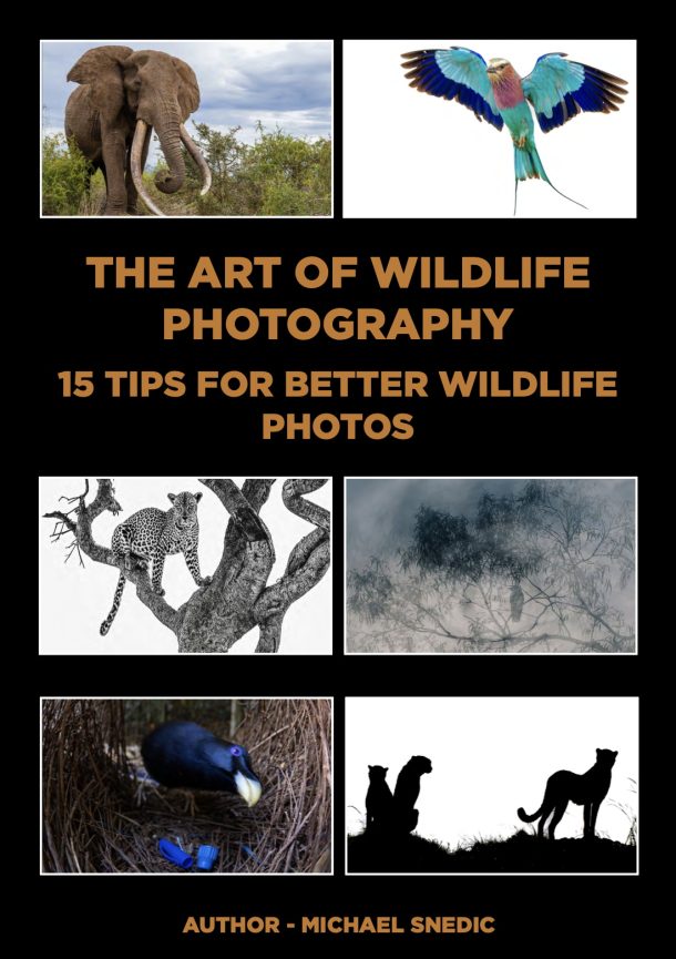 ebook The Art of Wildlife Photography by Michael Snedic July 2026 cover