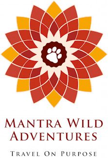mantra wild adventures