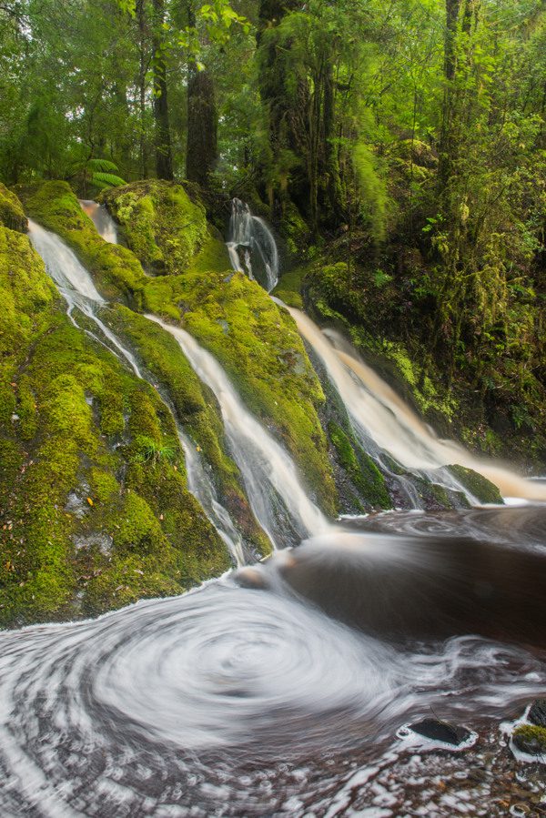 protesters falls