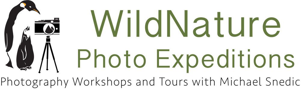 WildNature Photo Expeditions